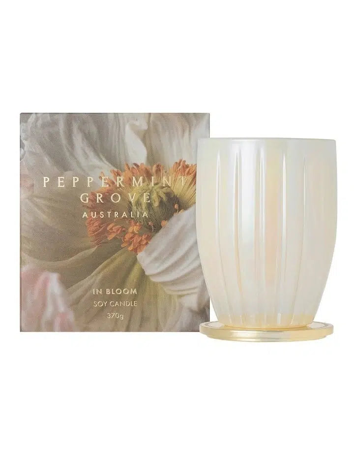 In Bloom Candle 370g (Limited Edition 2023)-Lima & Co-Lima & Co