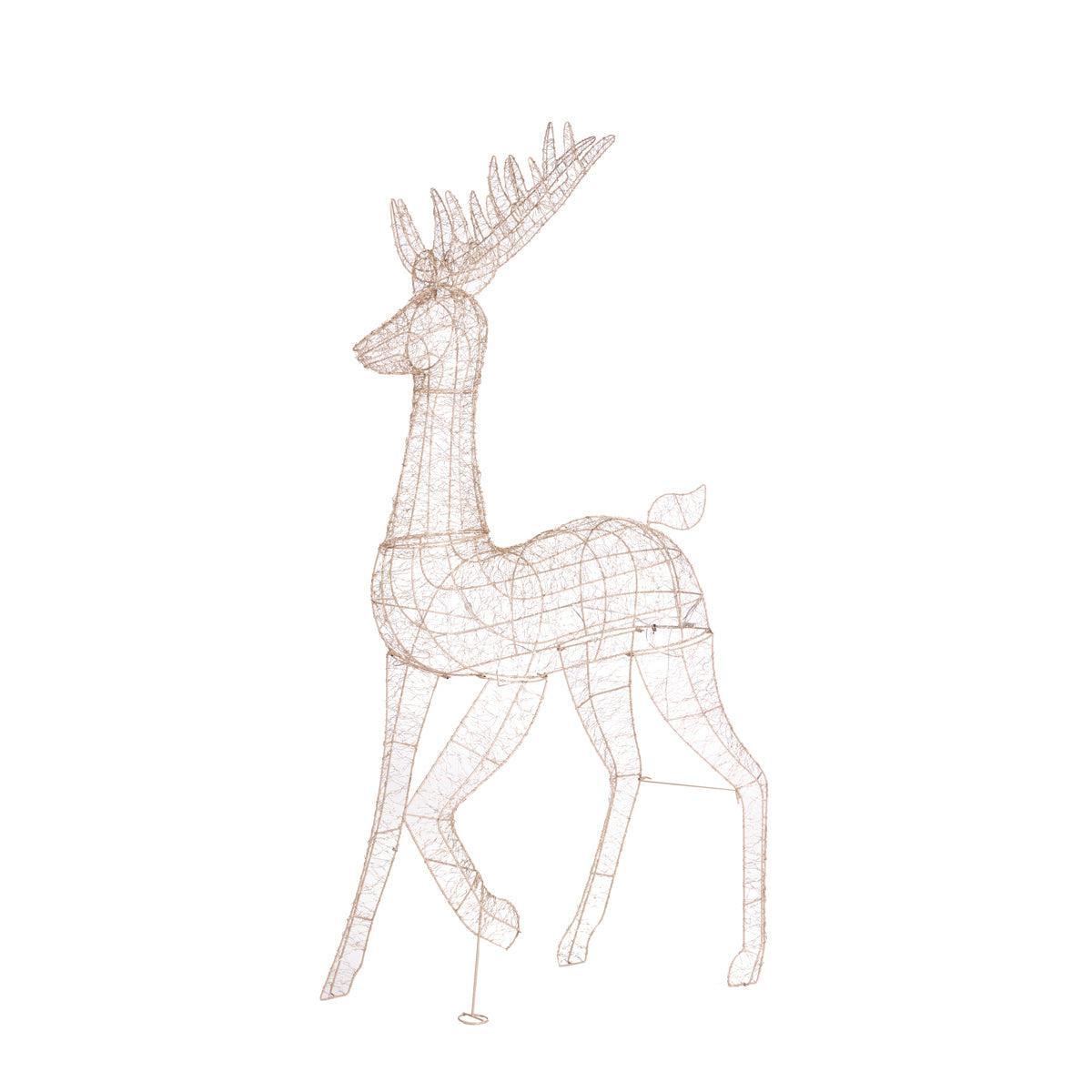 170 Cm Led Illuminated Reindeer-Holly and Ivy-Lima & Co