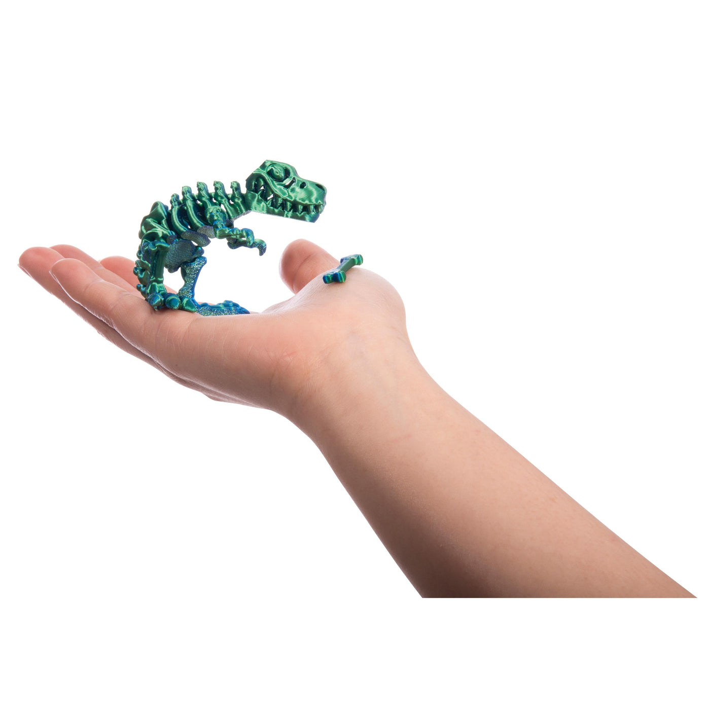 3D Sensory T-Rex-Albi-Lima & Co