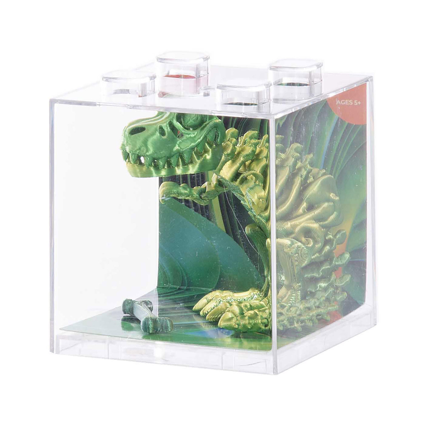 3D Sensory T-Rex-Albi-Lima & Co