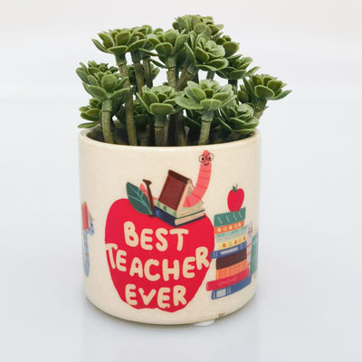 Best Teacher Planter-Lima & Co-Lima & Co