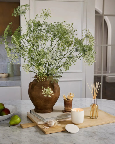 Circa 250ml Diffuser - Alchemy - White Tea & Wild Mint-Circa-Lima & Co