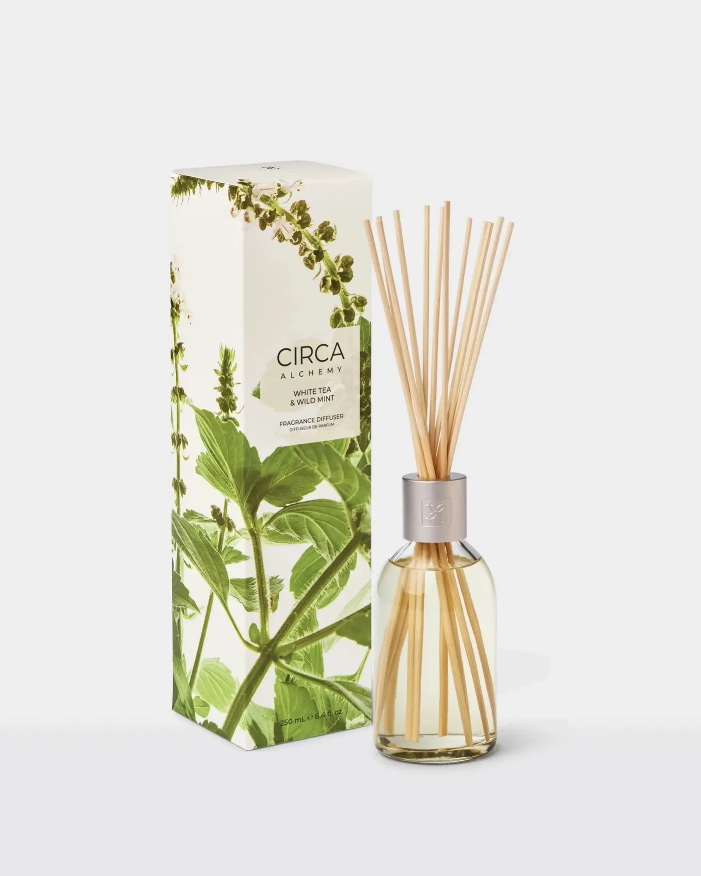 Circa 250ml Diffuser - Alchemy - White Tea & Wild Mint-Circa-Lima & Co