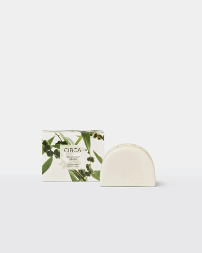 Circa Scent Stems Holder-Circa-Lima & Co