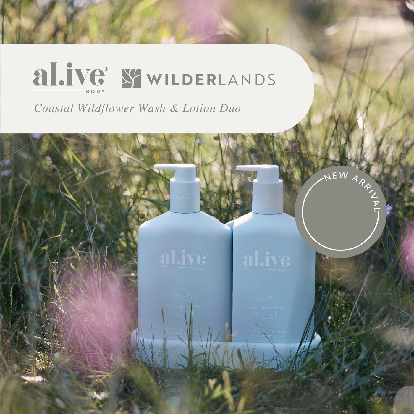 Coastal Wildflower - Duo-AL.IVE BODY-Lima & Co