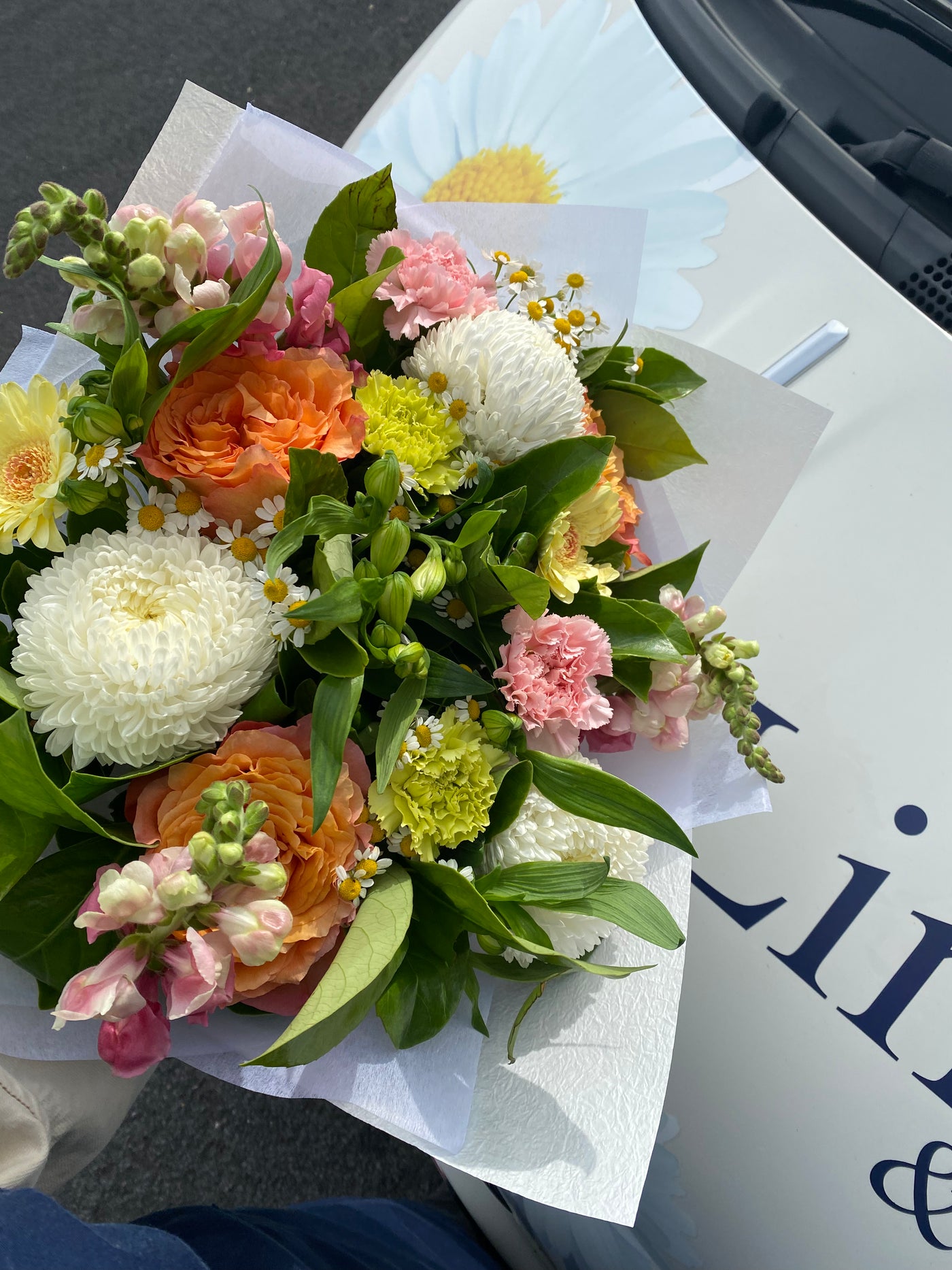 Florist Choice-Lima and Co-Lima & Co
