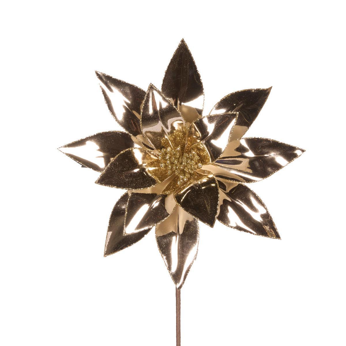 High Shine Champagne Poinsettia-Holly and Ivy-Lima & Co