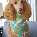 Hot Dog Linen Bandana - Christmas Holiday-Annabel Trends-Lima & Co