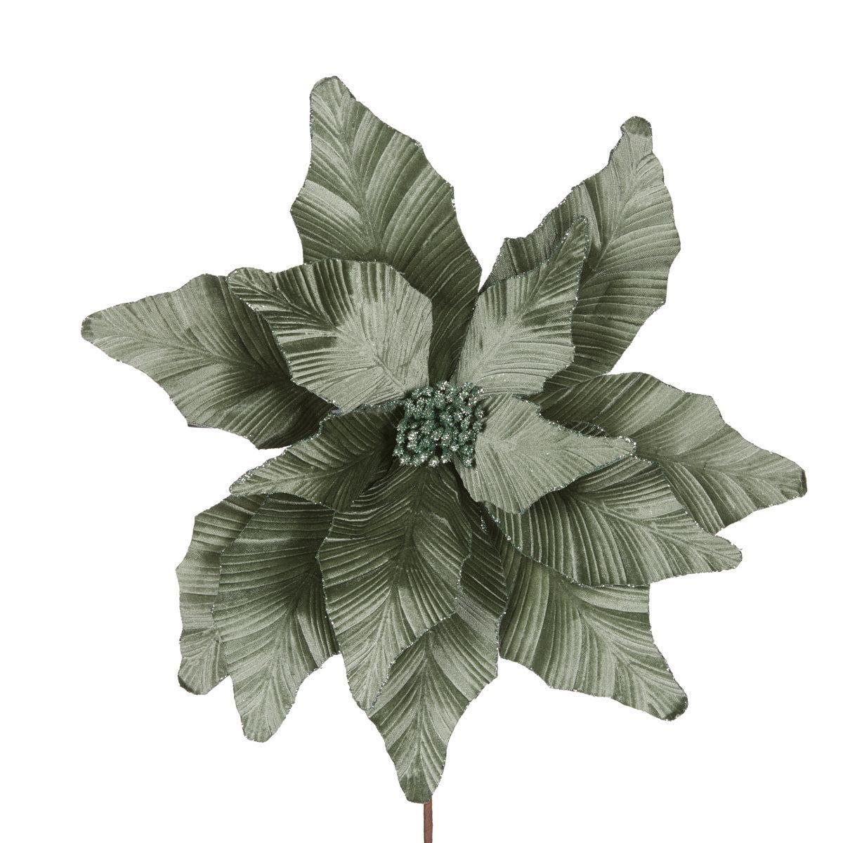 Luxe Sage Poinsettia-Holly and Ivy-Lima & Co