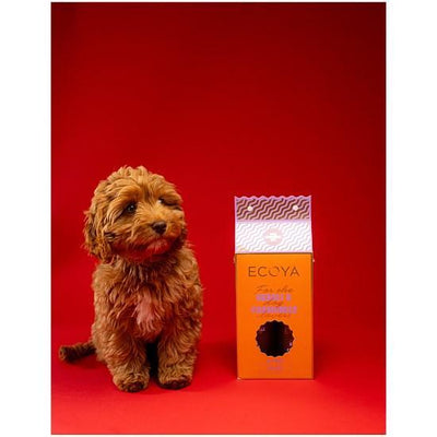 Neroli & Chamomile Dog Grooming Set Holiday Collection-Ecoya-Lima & Co