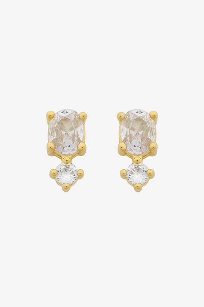 Nico Stud - Gold-Liberte-Lima & Co