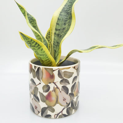 Pear Planter-Lima & Co-Lima & Co