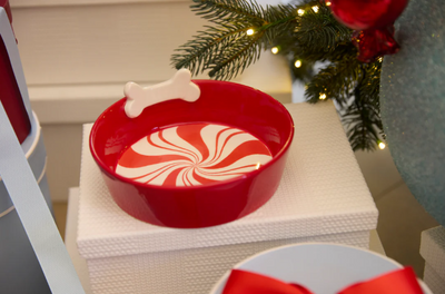 Peppermint Dog Bowl-Holly and Ivy-Lima & Co