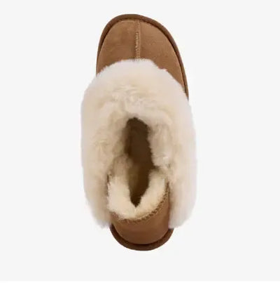 Platinum Balzary - Chestnut-Emu-Lima & Co