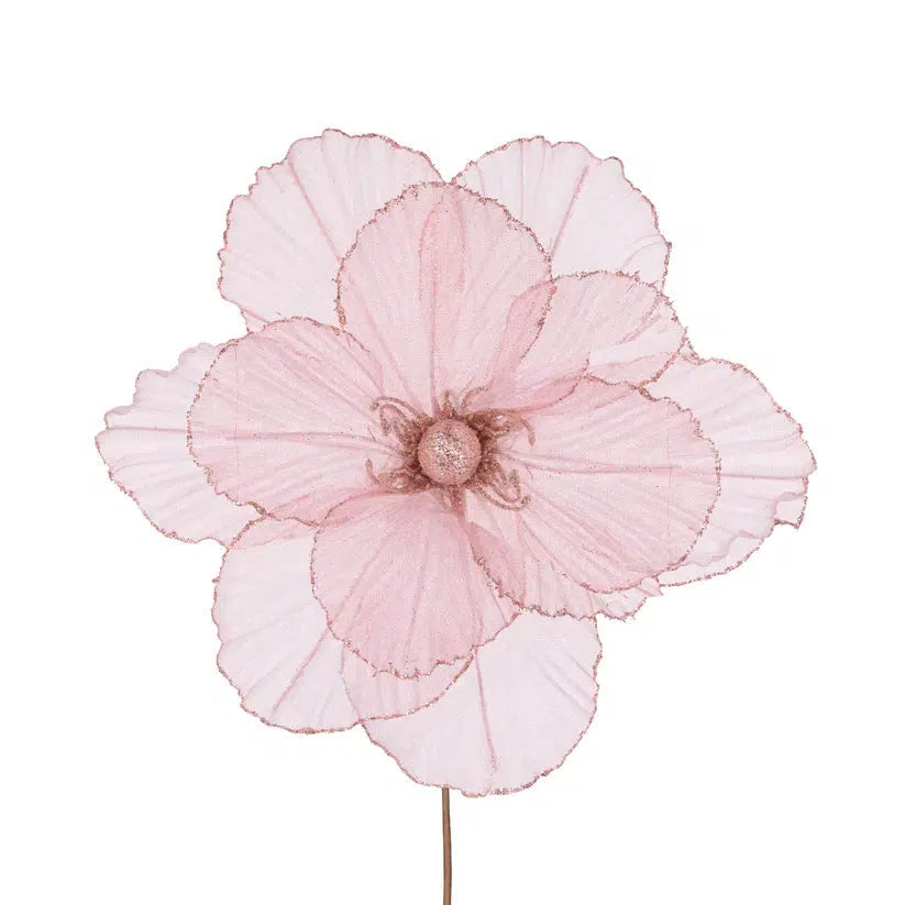 Sheer Pink Camellia-Holly and Ivy-Lima & Co
