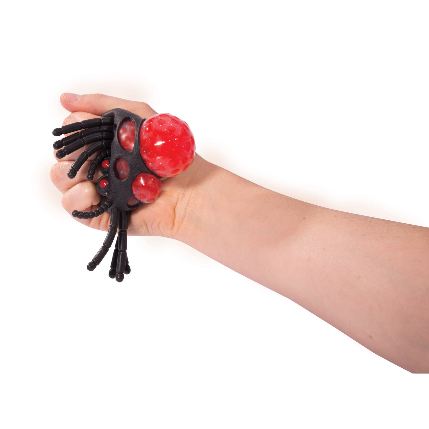 Squish-A-Spider-Lima & Co-Lima & Co