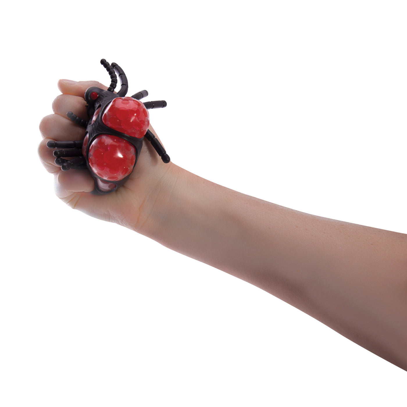 Squish-A-Spider-Lima & Co-Lima & Co