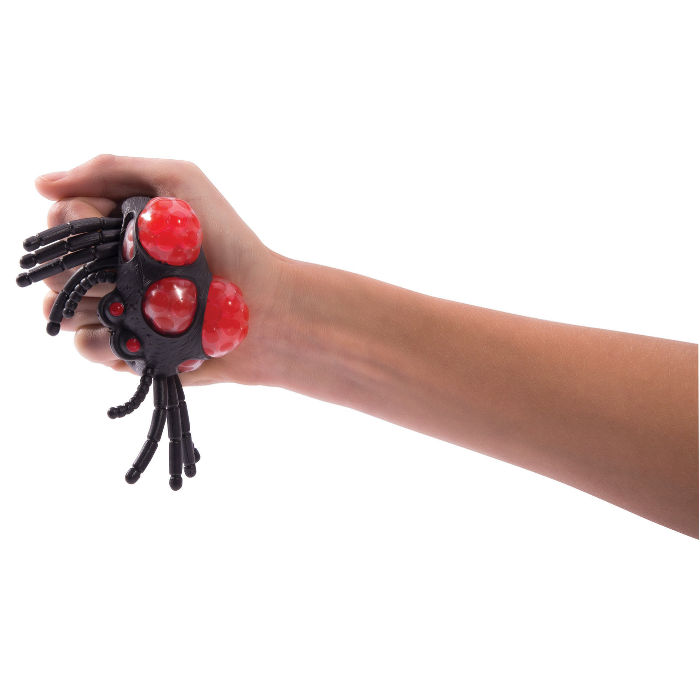 Squish-A-Spider-Lima & Co-Lima & Co