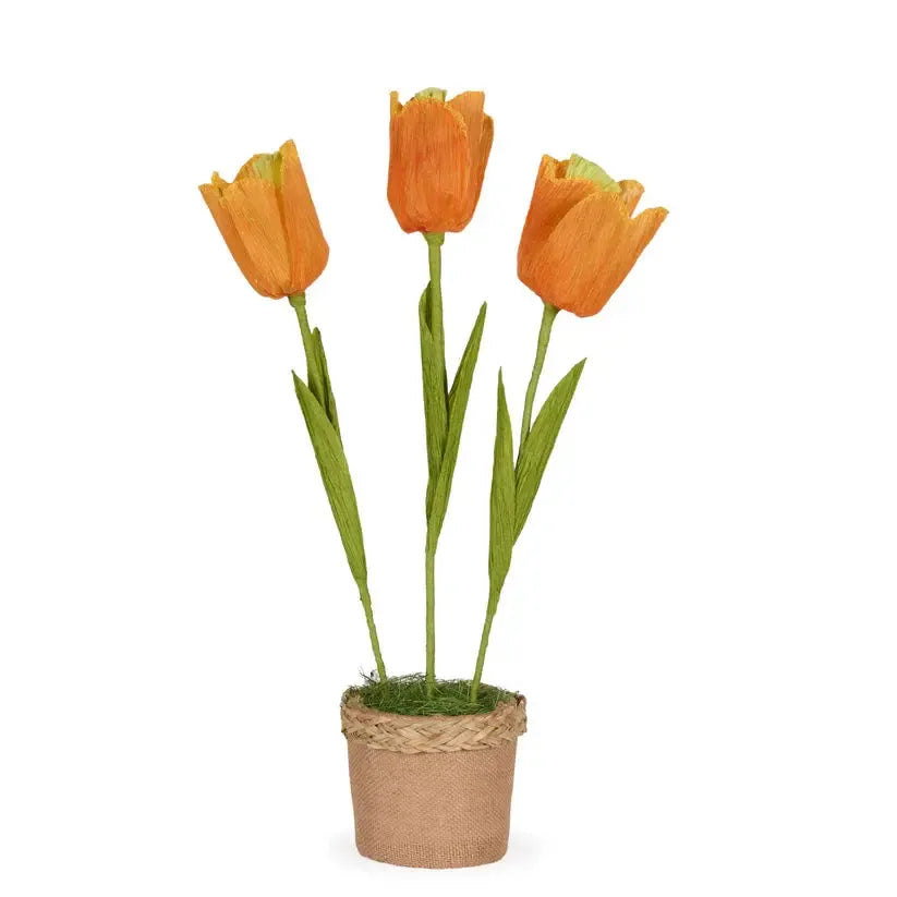 Tango Tulip Pot Orange-Holly and Ivy-Lima & Co