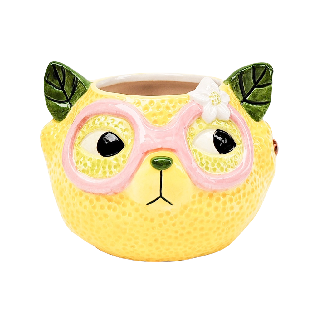 Tropicana Cat Lemon Planter-Lima & Co-Lima & Co