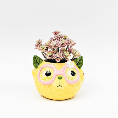 Tropicana Cat Lemon Planter-Lima & Co-Lima & Co
