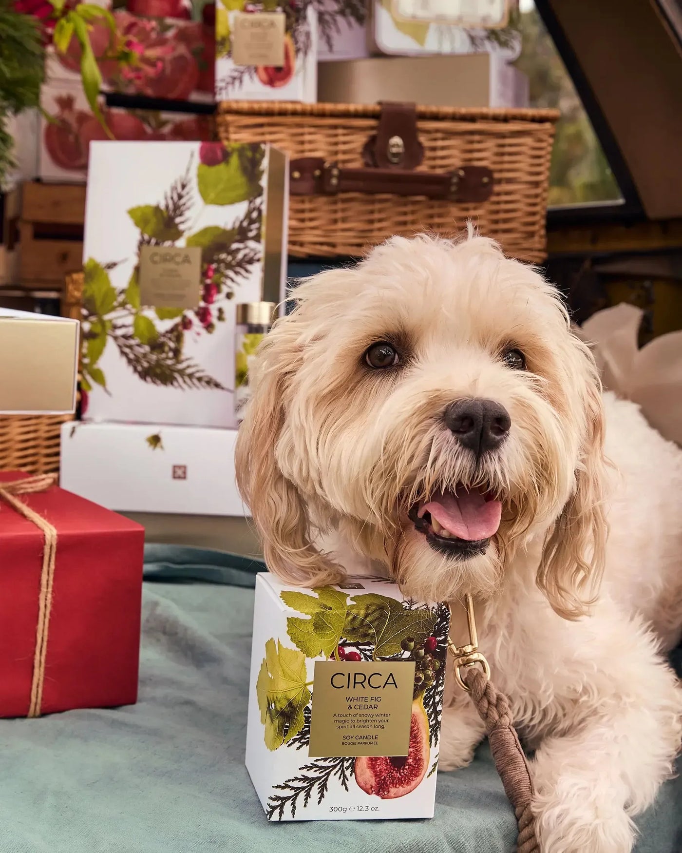 White Fig & Cedar Candle 300g-Circa-Lima & Co