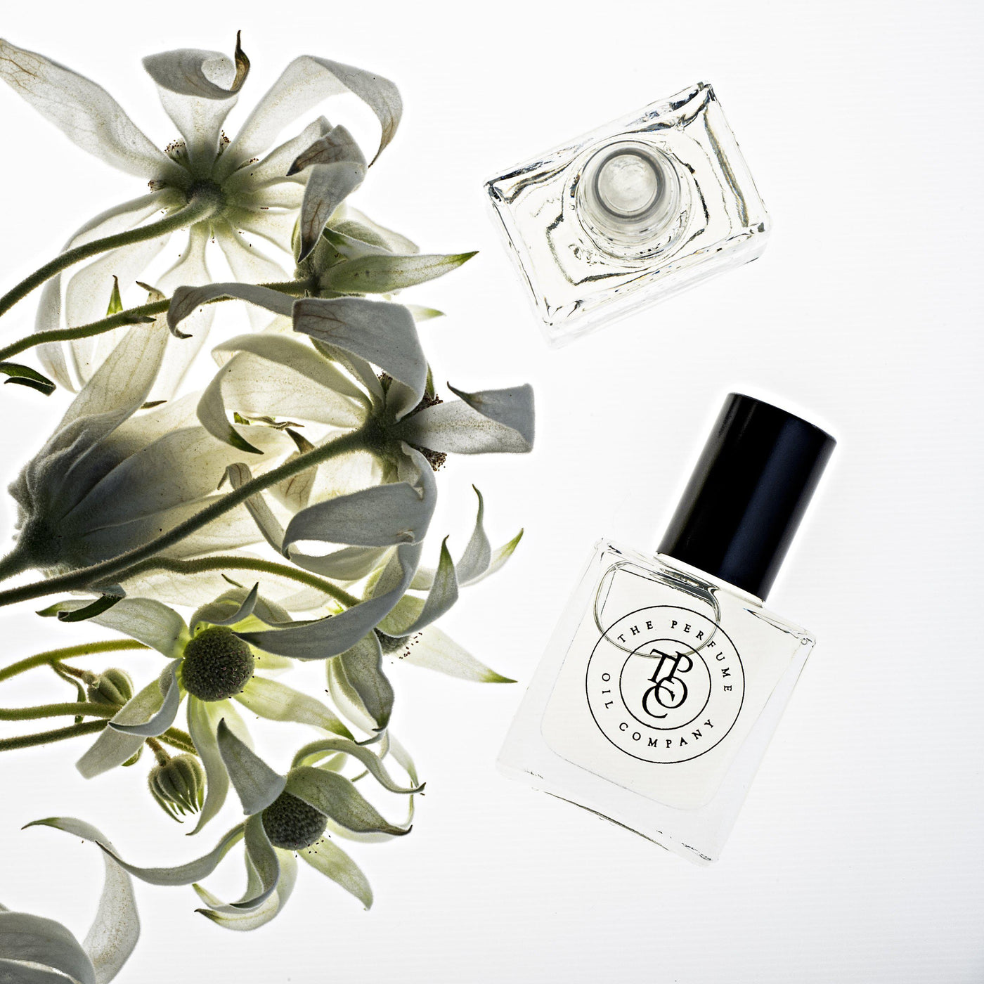 BLONDE-The Perfume Oil Company-Lima & Co