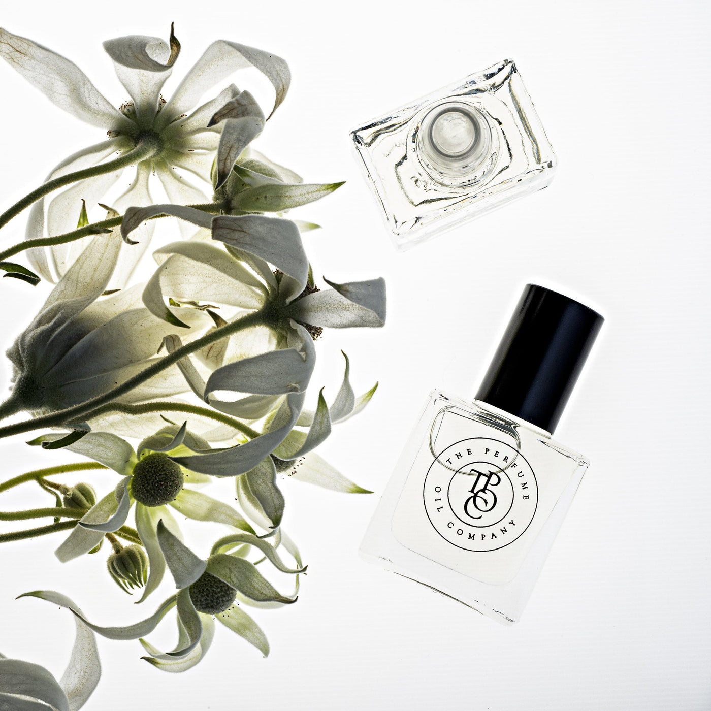 DAISY-The Perfume Oil Company-Lima & Co